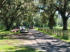 Residential Driveway Live Oak - Asphalt Milling 2019
